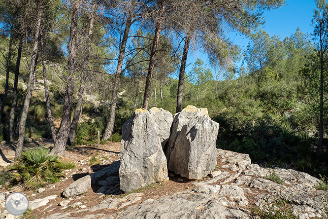 Camí del Castell Vell d