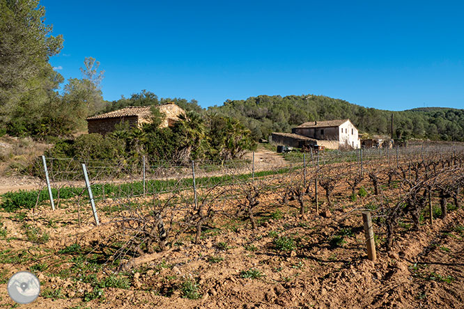 Camí del Castell Vell d