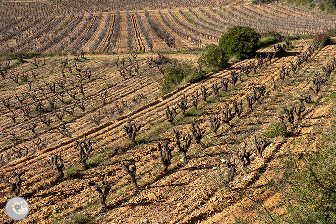 Camí del Castell Vell d