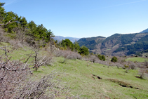 Pastures embardissades baixant cap a Querforadat.