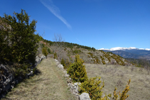 Camí al coll de Cristià.