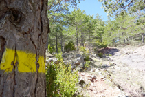 Senyalització del camí al coll de Cristià.