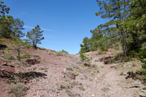 Terres rogenques al vessant nord del Tossal del Quer.