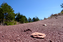 Coll de Cristià.