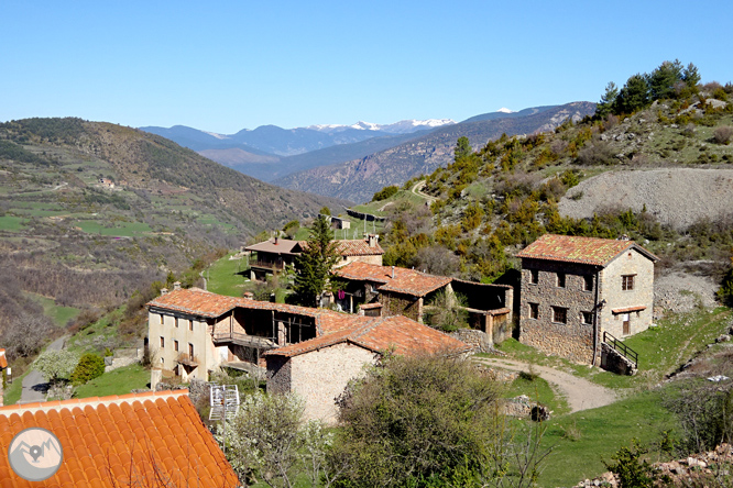 Cava i Querforadat a la cara nord del Cadí  1 