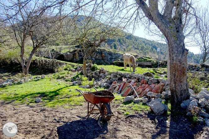 Cava i Querforadat a la cara nord del Cadí  1 