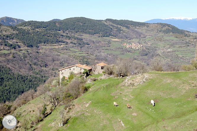 Cava i Querforadat a la cara nord del Cadí  1 