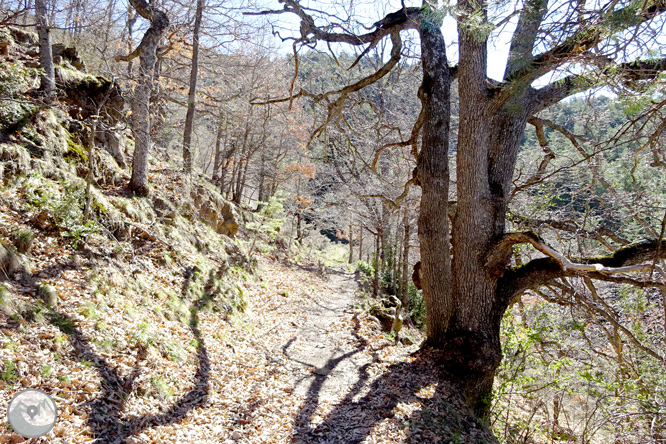 Cava i Querforadat a la cara nord del Cadí  1 