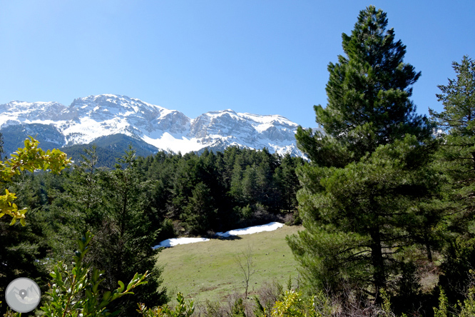 Cava i Querforadat a la cara nord del Cadí  1 