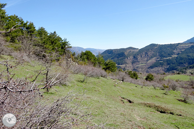 Cava i Querforadat a la cara nord del Cadí  1 