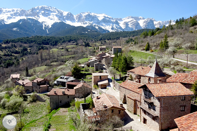 Cava i Querforadat a la cara nord del Cadí  1 