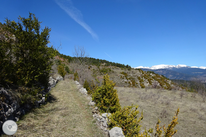 Cava i Querforadat a la cara nord del Cadí  1 