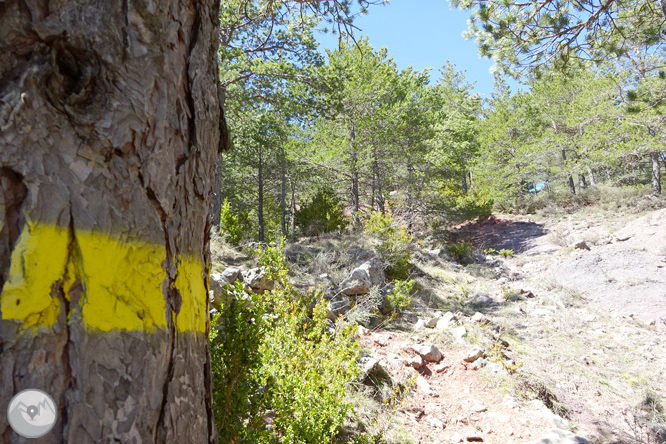 Cava i Querforadat a la cara nord del Cadí  1 