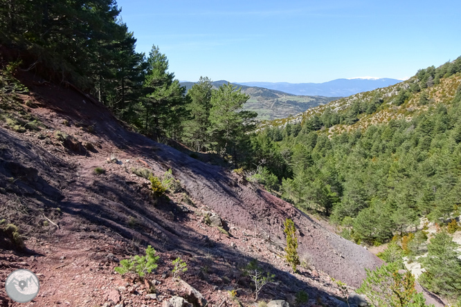 Cava i Querforadat a la cara nord del Cadí  1 