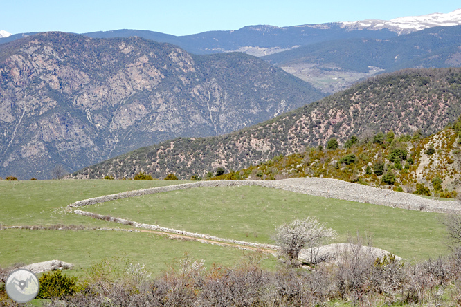 Cava i Querforadat a la cara nord del Cadí  1 