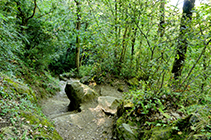 El camí és ample i ben fressat. És ideal per fer-lo a l´estiu, ja que és molt frescal.