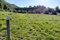 Des del pla del costat del mirador ja s´intueix per on baixa el camí del grau de la Donada.