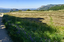 Vistes cap a l´Agullola de Rupit des del pla del Quintà de Casadevall.