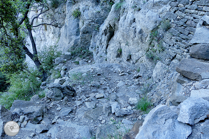 El salt de Sallent i els cingles de Casadevall des de Rupit 1 