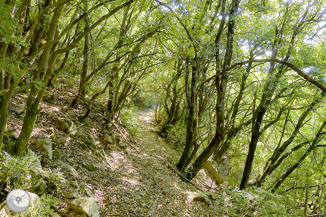 El salt de Sallent i els cingles de Casadevall des de Rupit 1 