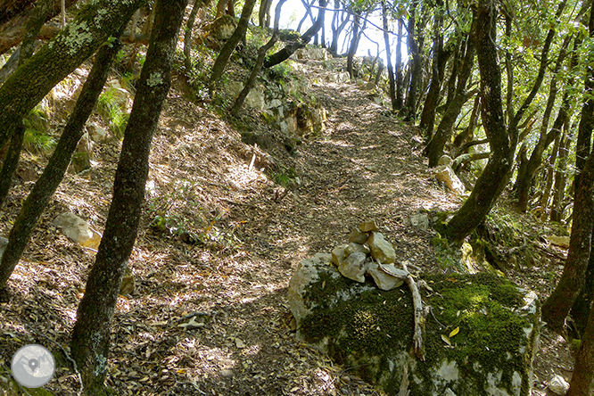 El salt de Sallent i els cingles de Casadevall des de Rupit 1 