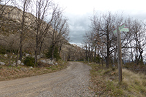 Cruïlla de camins on enllacem amb un ramal del PR C-128.