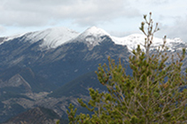 Comabona i coll de Tancalaporta a la serra del Moixeró.