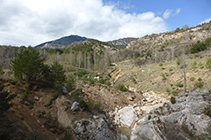 Torrent de Bosons i Vallcebre.