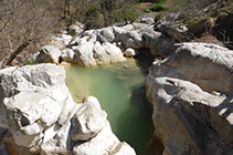 Gorgs al torrent de Vallcebre.