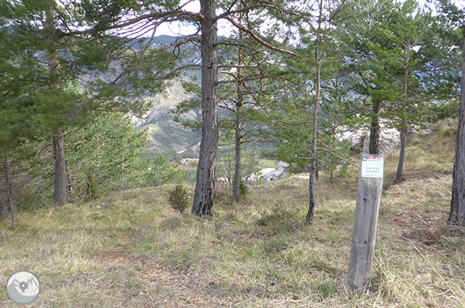 Ruta circular pels cingles de Vallcebre 1 