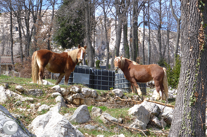 Ruta circular pels cingles de Vallcebre 1 