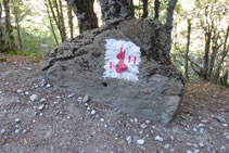 Marca de pintura a la roca amb un cap d´isard i les inicials P i N en vermell: símbol de la zona-cor del Parc Nacional.