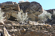 Estranyes formes de les roques erosionades pel vent i la sal.