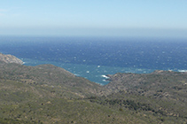 Vistes al N de la costa del Cap de Creus i el mar Mediterrani, amb l´entrant de Tavallera en primer pla.