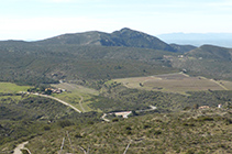 Vistes del Mas Sa Perafita i les vinyes del celler Martín Faixó.