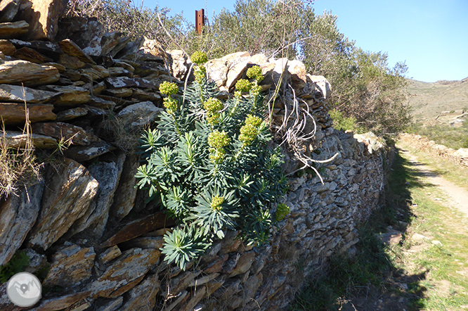 La Muntanya Negra de Cadaqués 1 