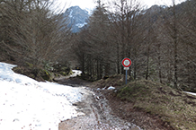 Comencem l´excursió baixant uns metres per una pista que ens porta fins a un pont.