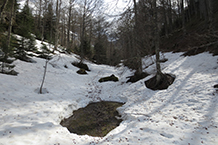 Prenem la pista secundària a l´esquerra.