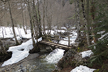 Creuem el riu per un primer pont de fusta.