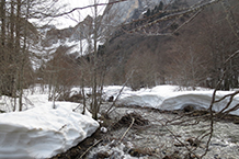 La neu acumulada durant l´hivern és molt abundant en aquesta zona del Pirineu.
