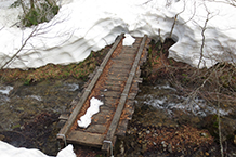 Creuem un segon pont de fusta.