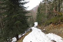 Baixem tranquil·lament per la pista.