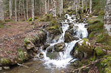 L´aigua és molt present al llarg de tot el recorregut.