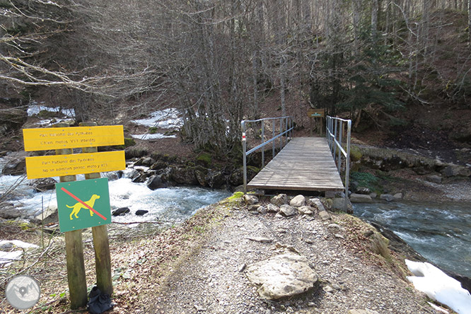 Circular per la capçalera de la vall d