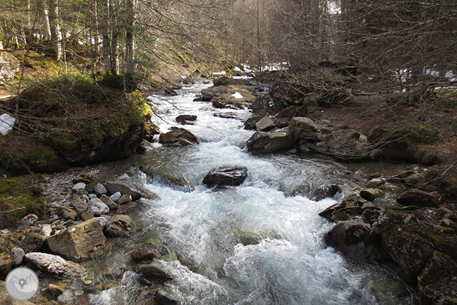 Circular per la capçalera de la vall d