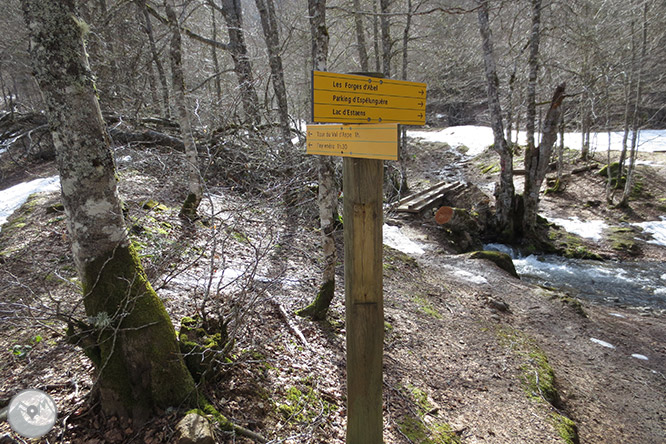 Circular per la capçalera de la vall d