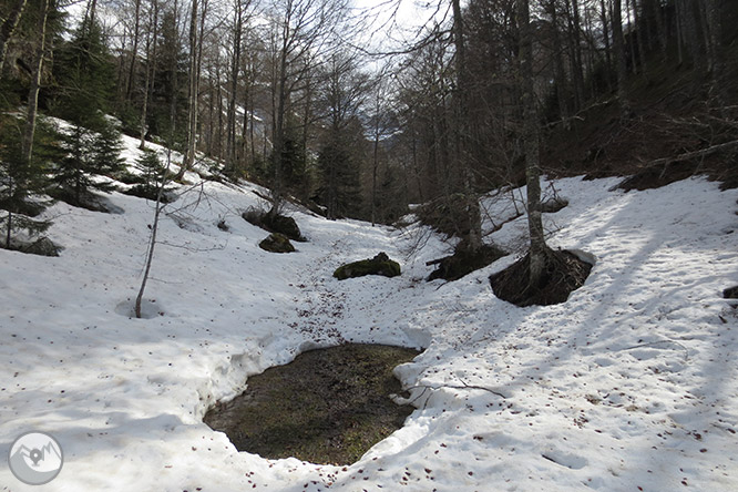 Circular per la capçalera de la vall d