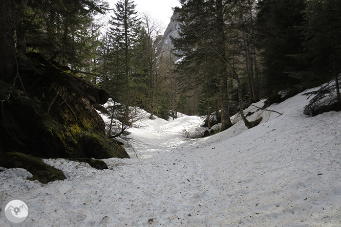 Circular per la capçalera de la vall d