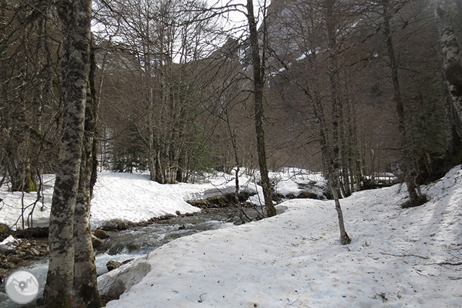 Circular per la capçalera de la vall d