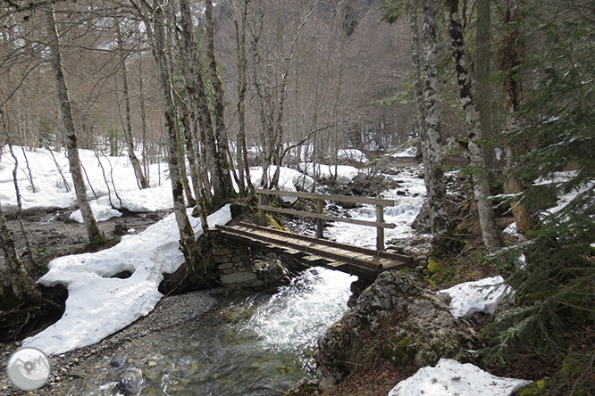 Circular per la capçalera de la vall d